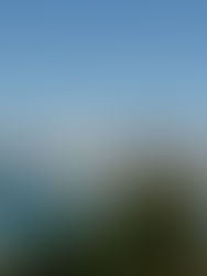 Tel Aviv