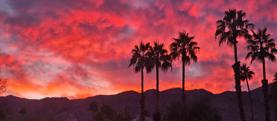 Exploring the Unique Blend of History and Design in Palm Springs