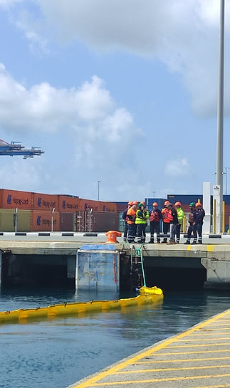 906dc82c-5119-4804-8cbd-d2b3c073a61c_edi