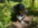 3c33cf2b-e243-4f3f-92ce-e2620ed6c3a1.jpeg