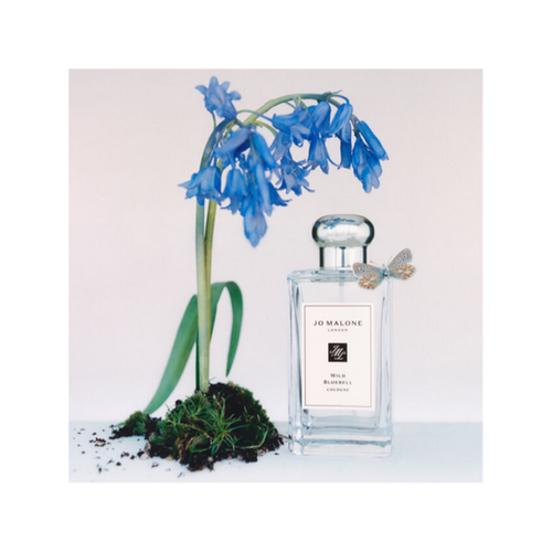 王ドロボウJING in Seventh Heaven  初回購入特典　香水 王ドロボウJING in Seventh Heaven 初回購入特典香水