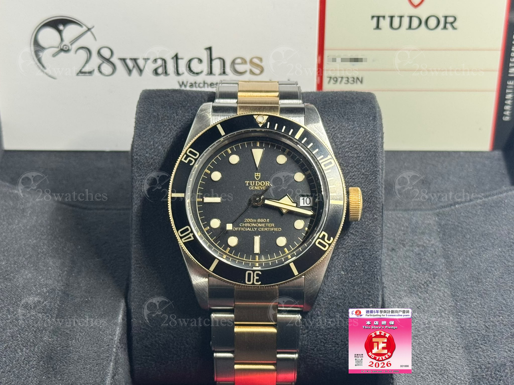 Pre-owned Tudor Black Bay S&G 79733N - Causeway Bay branch