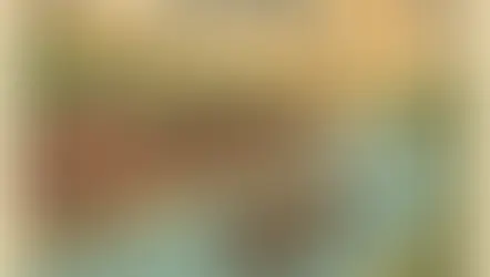 Insurance Categoties 