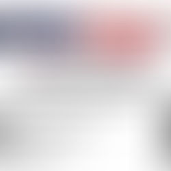 Amerishop Services Terms of Services for Business Directory