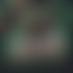 Raven Financial Business and Wholesale Services