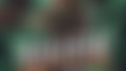 Raven Financial Business and Wholesale Services 