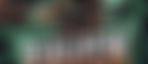 Raven Financial Business and Wholesale Services 