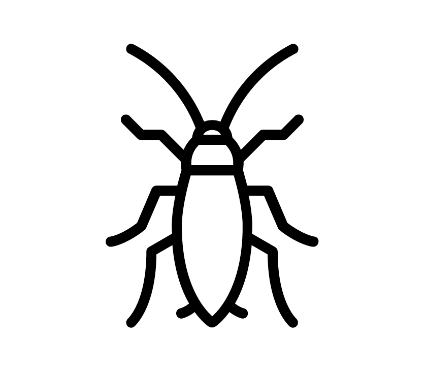 Black line icon of a German cockroach with an oval body, long antennae, and six legs.