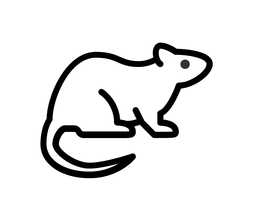 Black line icon of a mouse in profile, with a visible ear, eye, and long tail.
