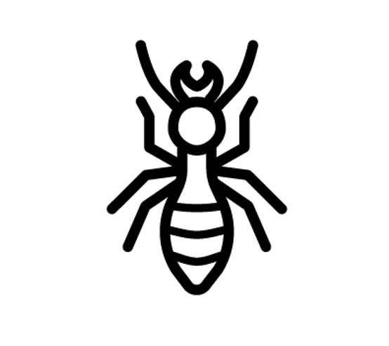 Pest_Icons_Blk__Termite.png