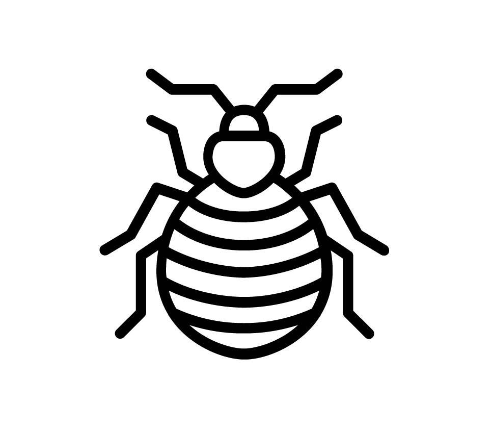 Black line icon of a bed bug with striped abdomen, six legs, and two antennae.