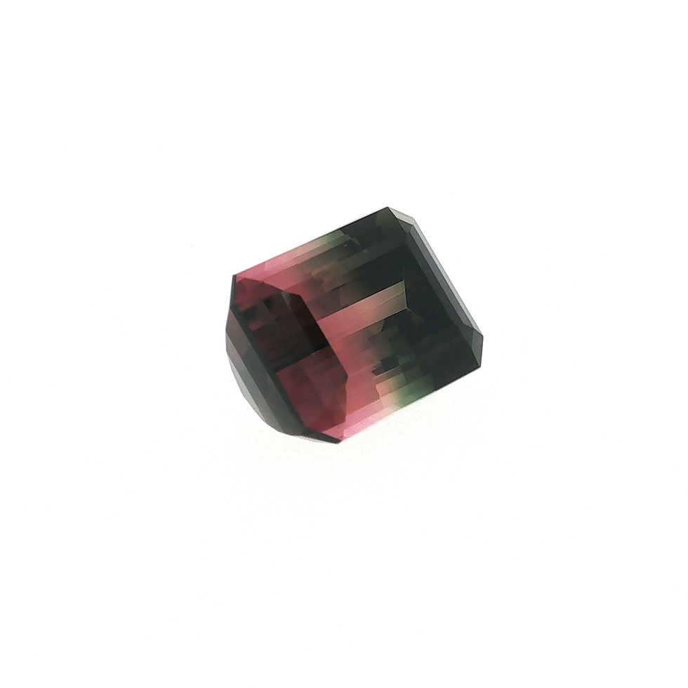 サムネイル： Bi-Color Tourmaline 13.84cts