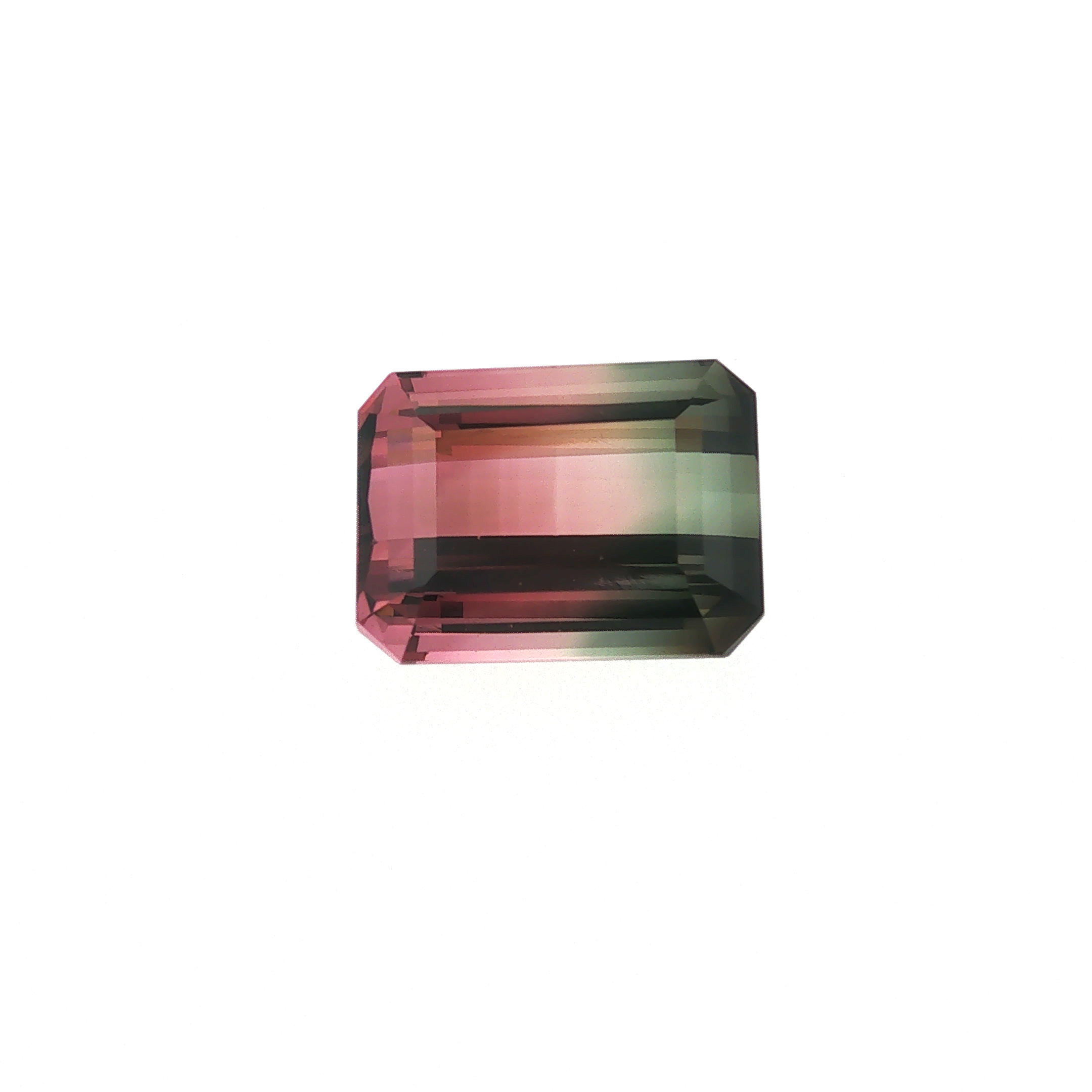 Bi-Color Tourmaline 13.84cts