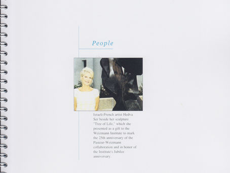 Article Interface