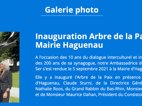 Article de l'UNESCO sur l'Arbre la Paix à Haguenau