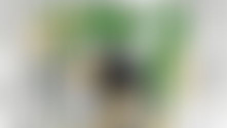 Five Years of Injustice are Enough! Investigative Study on Violations Against Kurds and Yazidis in Northern Syria