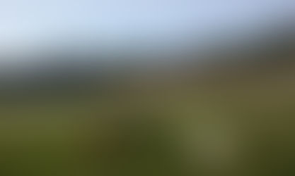 South Hobart dog owners must save their reputation and local parks