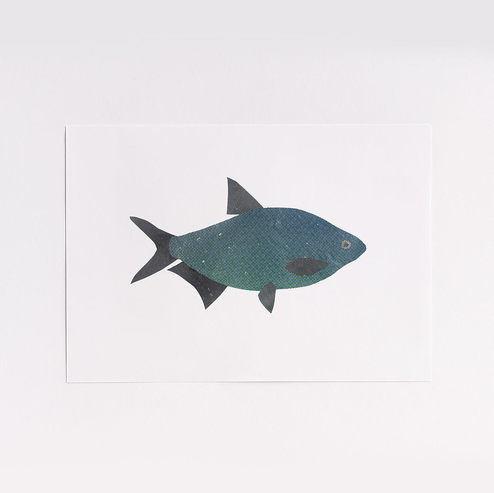 Thumbnail: British Freshwater Fish