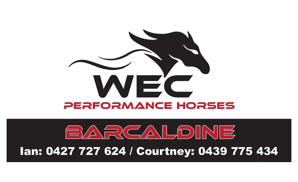 WEC Performance Horses