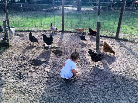 FARMtastic Fun