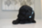 2 weeks old Indigo