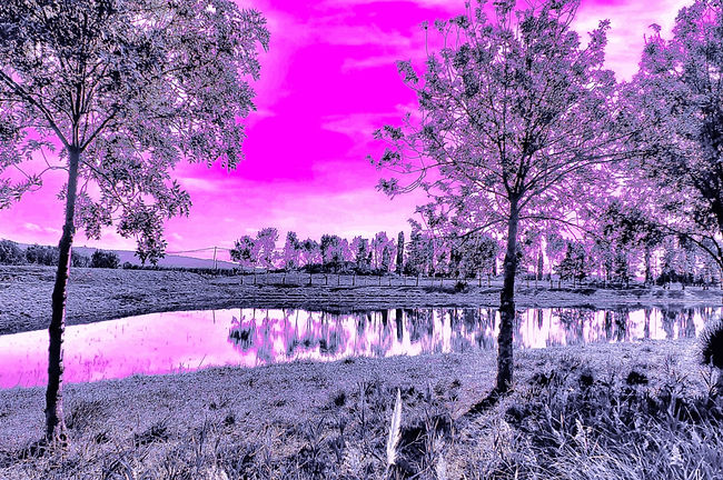 christian lefevre photographie art comptemporain --7.jpg