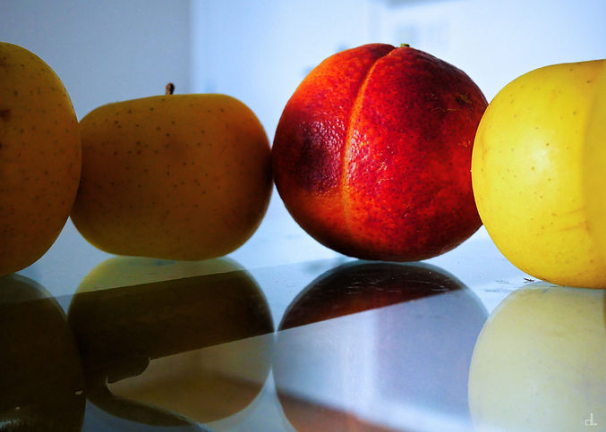 christian lefevre photographe art contemporain fruits.jpg