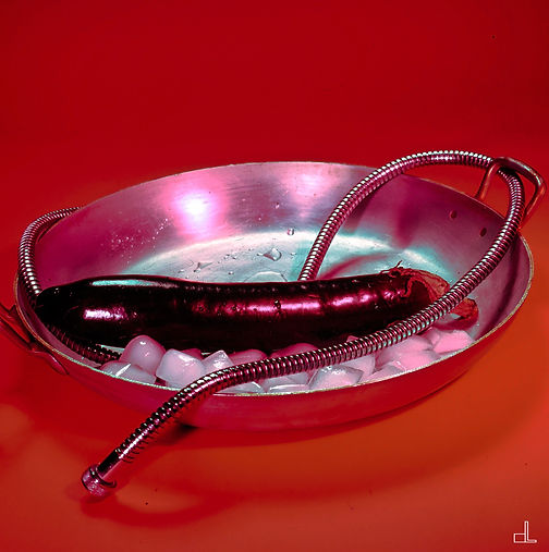christian lefevre photographe art contemporain M.L.F.jpg