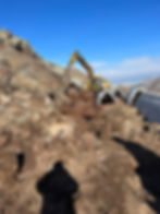 WhatsApp Image 2024-08-22 at 10.53.03.jpeg