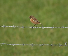 IMG_4791 (Small).JPG