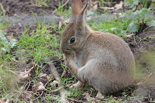 IMG_7631 (Small).JPG