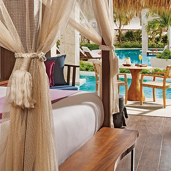 swimoutsuitehomepage (2).jpg