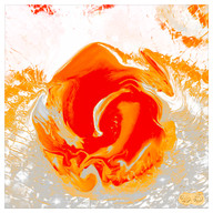 Miriam Wilson: Transforming Fine Cuisine into Fine Art.