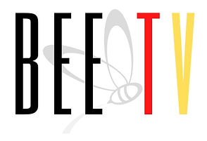 arts and culture - Bee TV