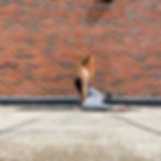 A yoga teacher demonstrating frog pose