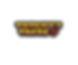 TORCHY'S TACOS