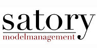 icono de gestión de modelos de Satory