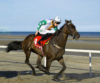 Oct Adv Open 1st - Kicking up the sand at Laytown - Mary McMahon -sml.jpg