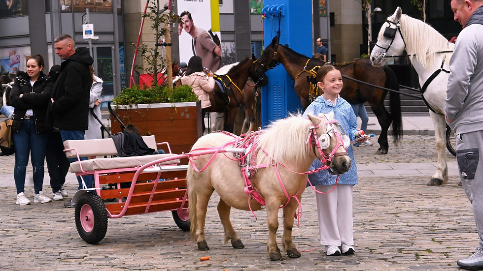 1st Intermediate Open - My little pony -Mary Guiry