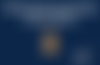 Debt Service Coverage Ratio (DSCR)