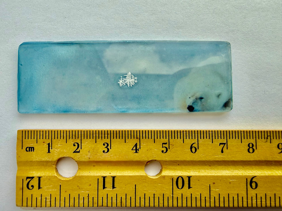 Thumbnail: Art Display/Microscope Slide-Real Snowflake Preserved Resin/Glass