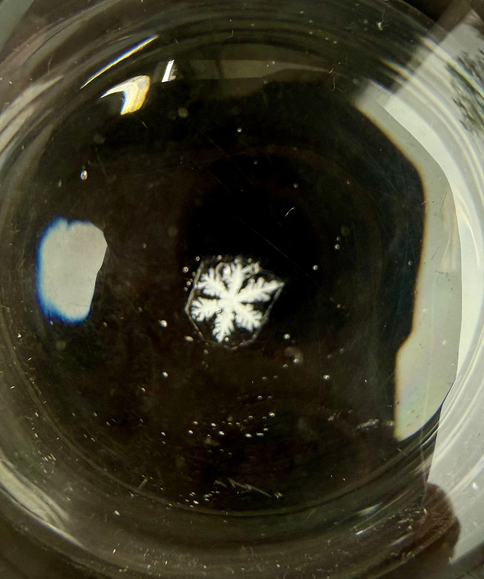 Miniaturbild: Display-4x6/Preserved Snowflake