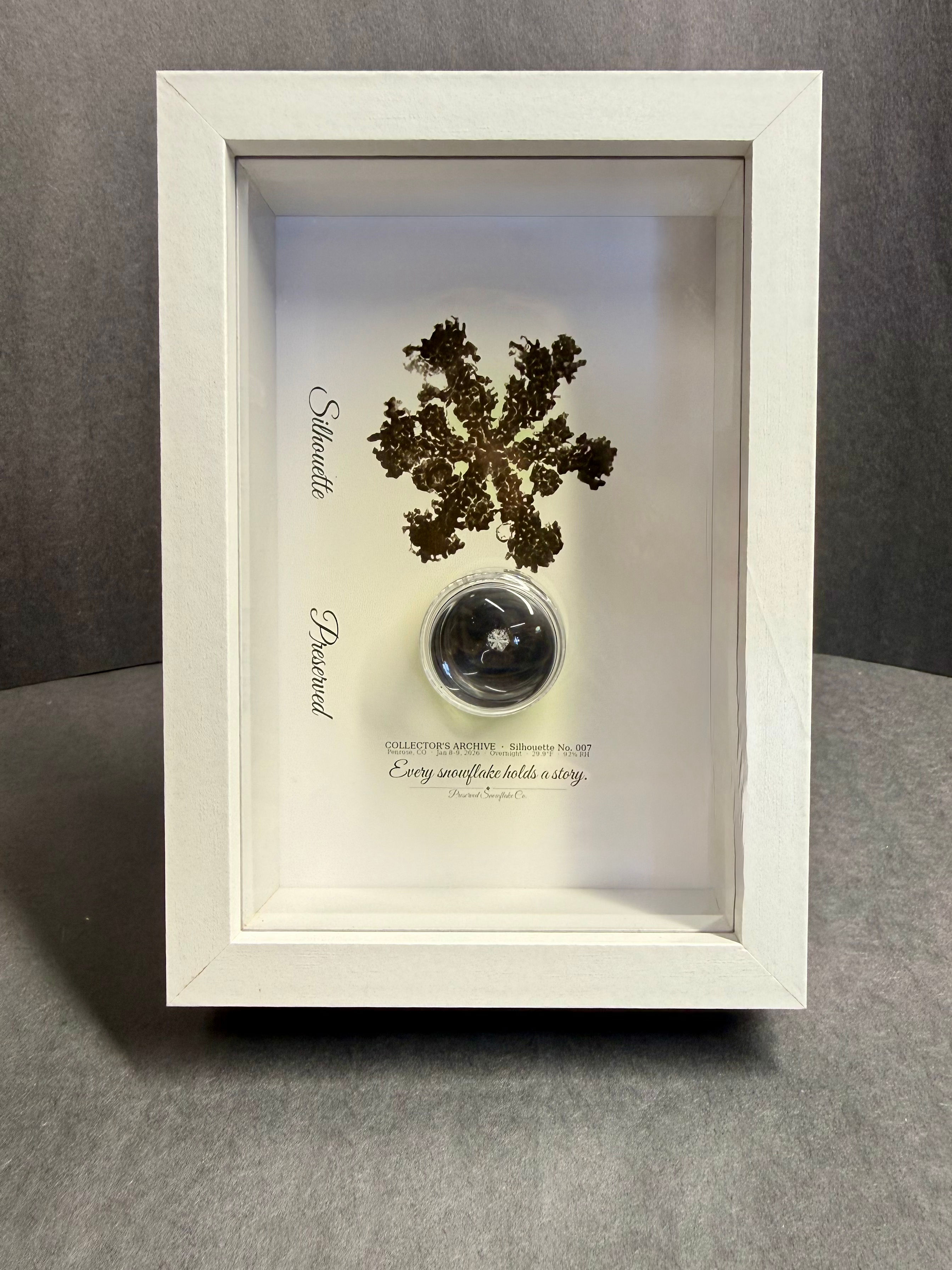 Display-4x6/Preserved Snowflake