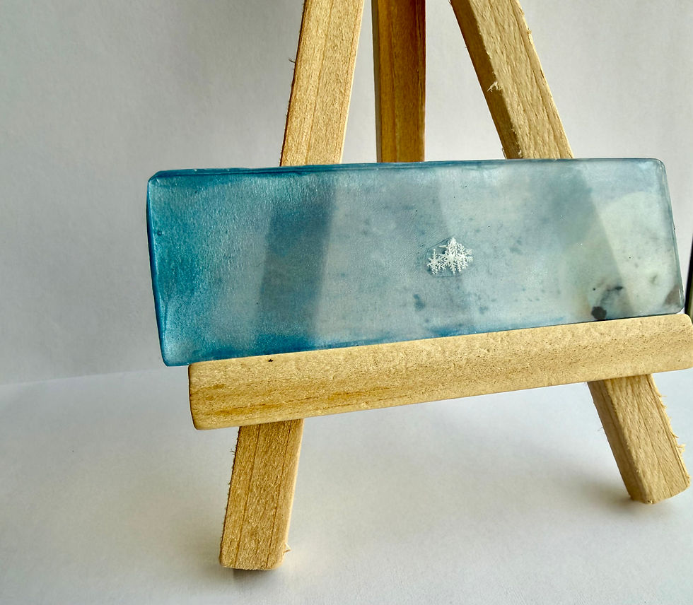 Thumbnail: Art Display/Microscope Slide-Real Snowflake Preserved Resin/Glass