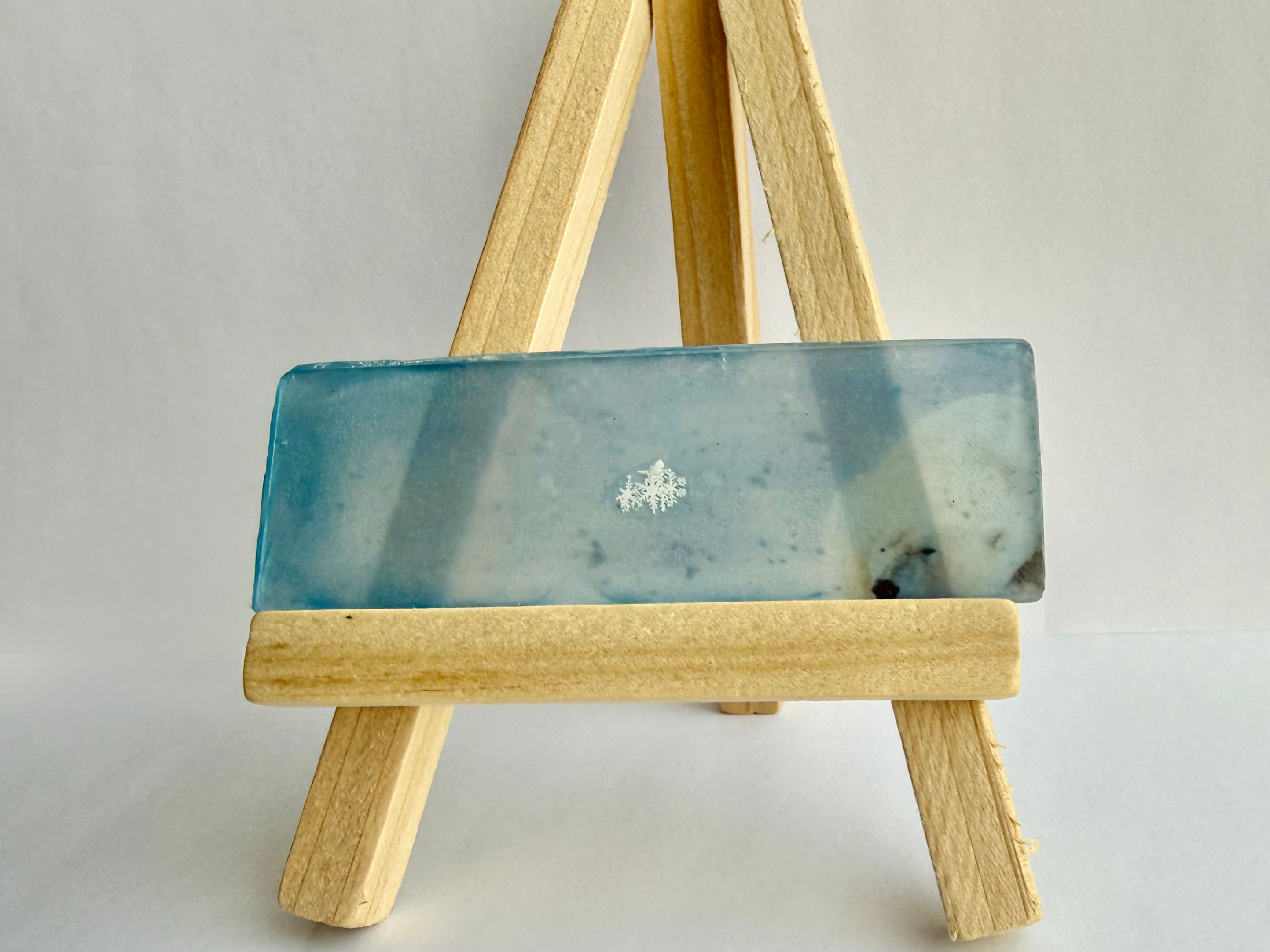 Art Display/Microscope Slide-Real Snowflake Preserved Resin/Glass