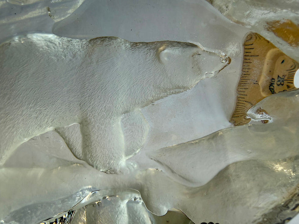 Thumbnail: Art Display/Real Snowflake Preserved Resin/Glass