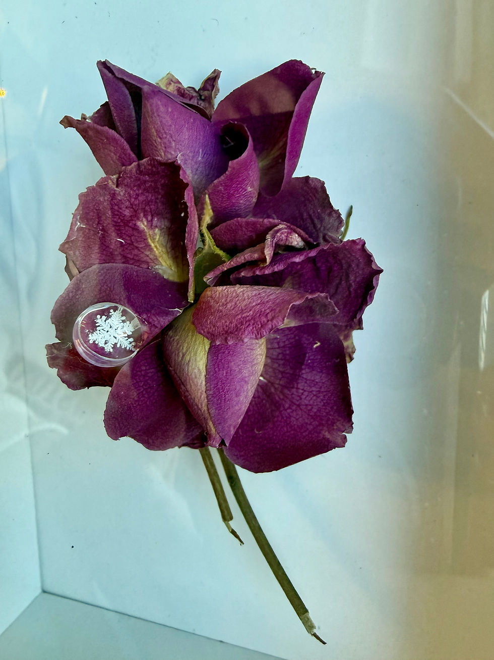 Miniaturbild: Art Display/4x6-Real Snowflake Preserved Resin/Glass