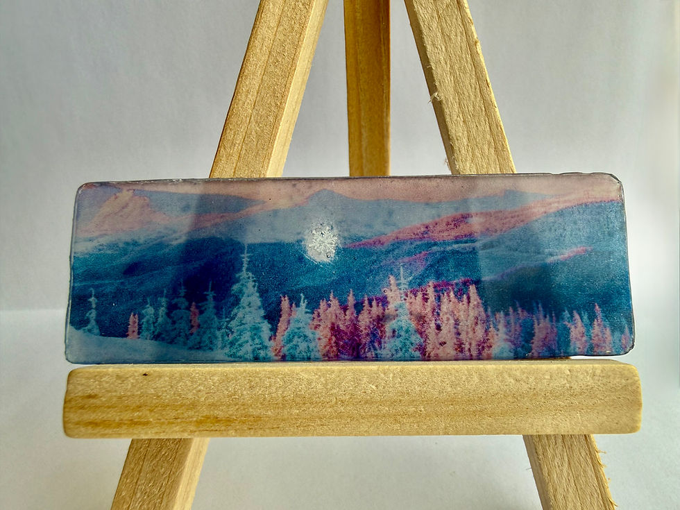 Thumbnail: Art Display/Microscope Slide-Real Snowflake Preserved Resin/Glass