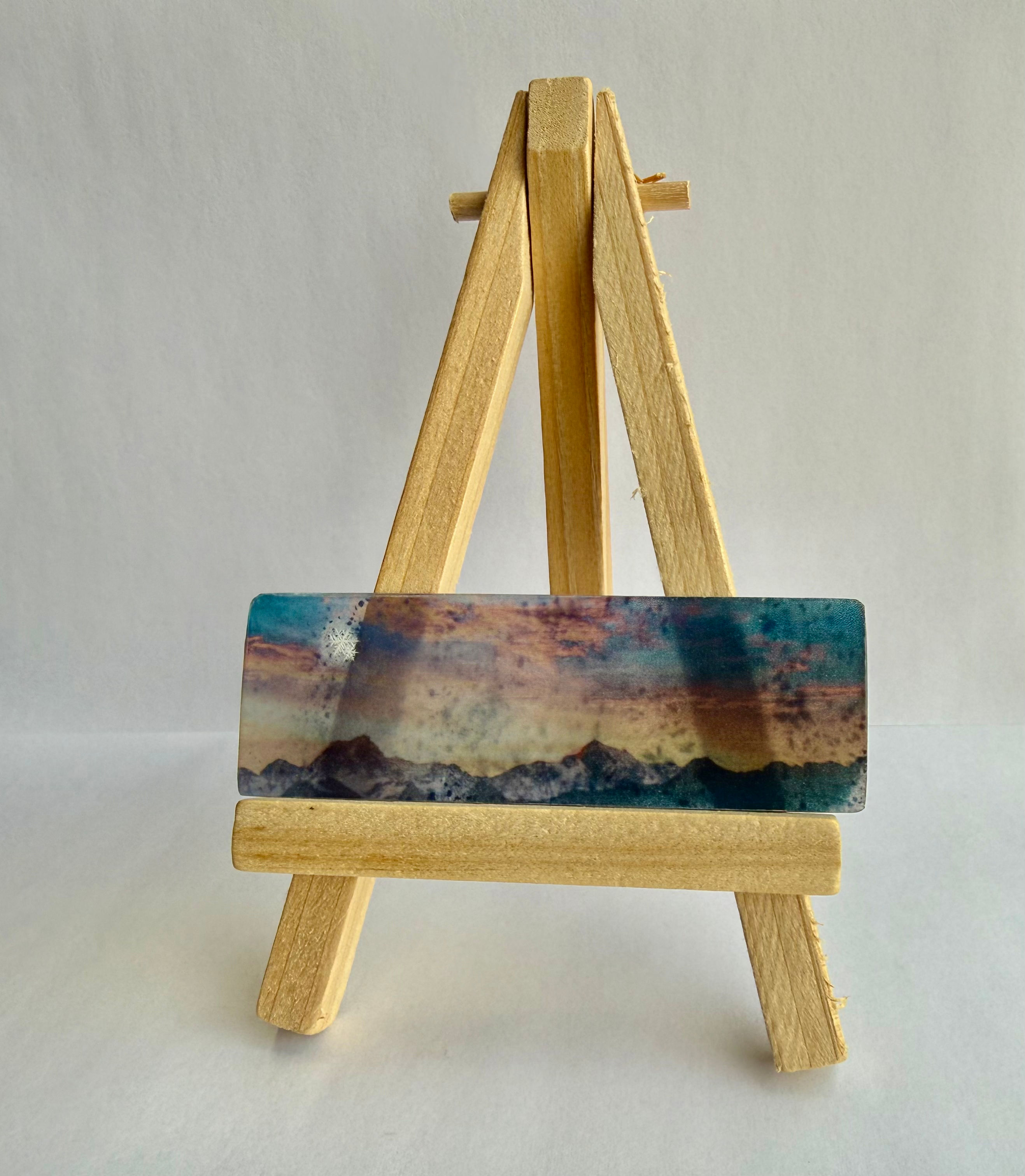 Art Display/Microscope Slide-Real Snowflake Preserved Resin/Glass