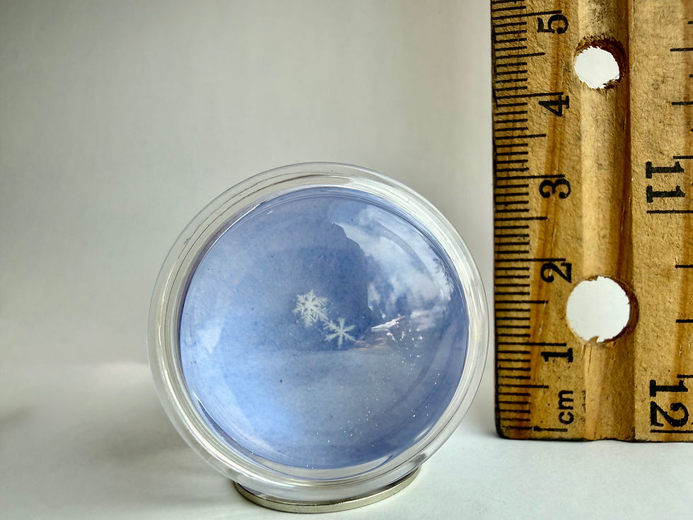 Miniaturbild: Art Display/20mm-Real Snowflake Preserved Resin/Glass